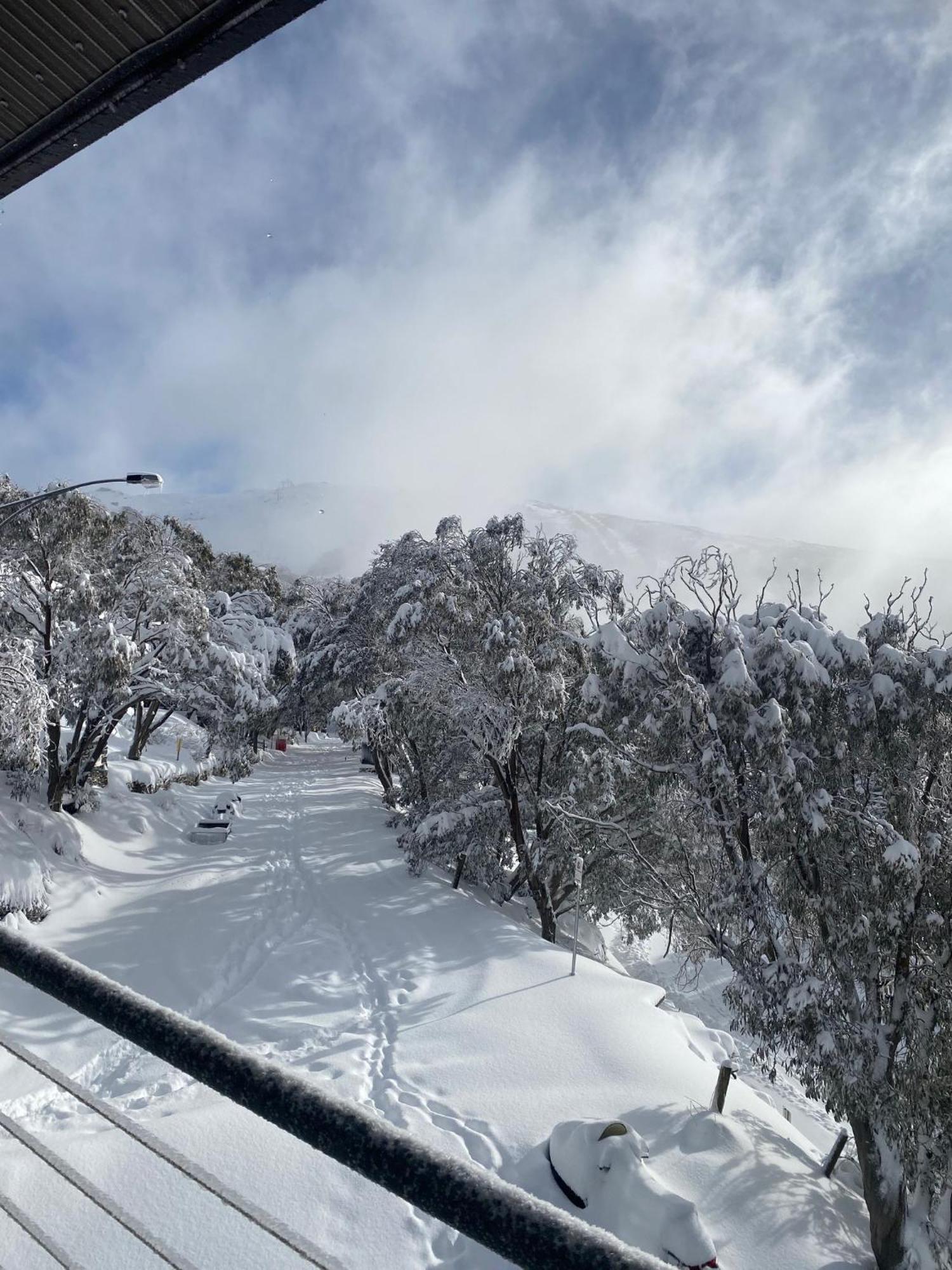 Alpine Woodsmoke Apartments Falls Creek Exterior photo